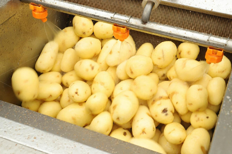 Batch Brush Roller Potato Peeling Machine Process Work